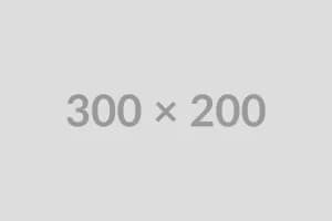 Poly VVX 250